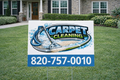 Professional Carpet Steam Cleaning Yard Signs