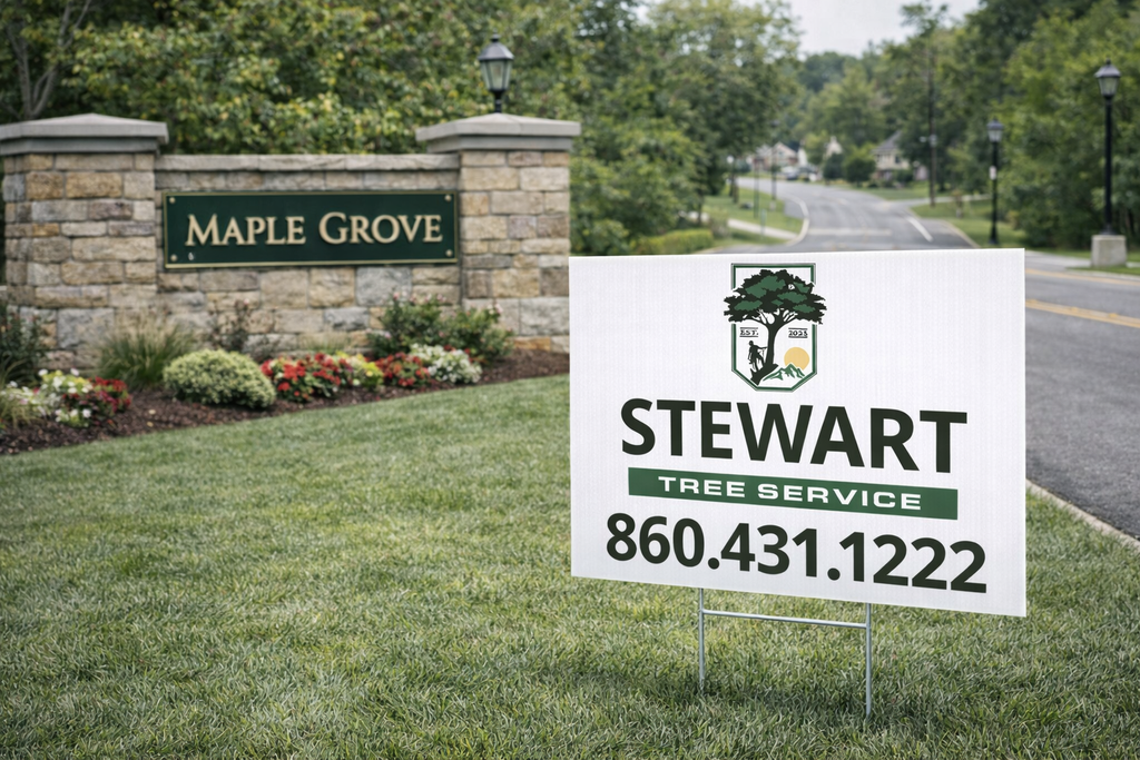 Tree Removal Service Business Yard Signs
